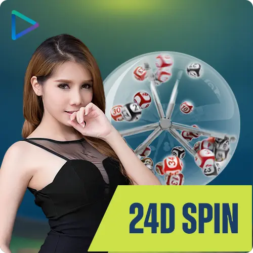 24dspin